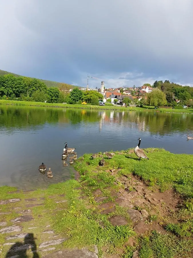 Apartmán Ferienwohnung Im Springerhof Lohr Německo