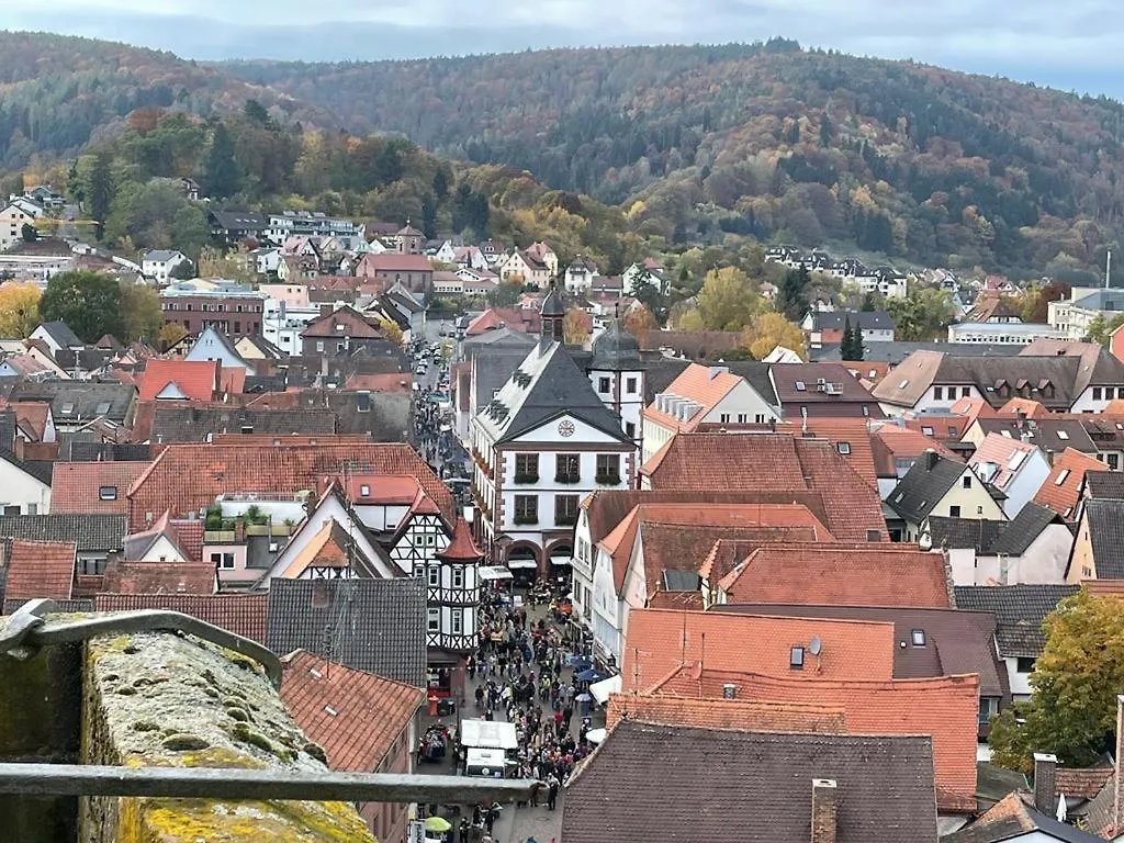 Ferienwohnung Im Springerhof Lohr 公寓