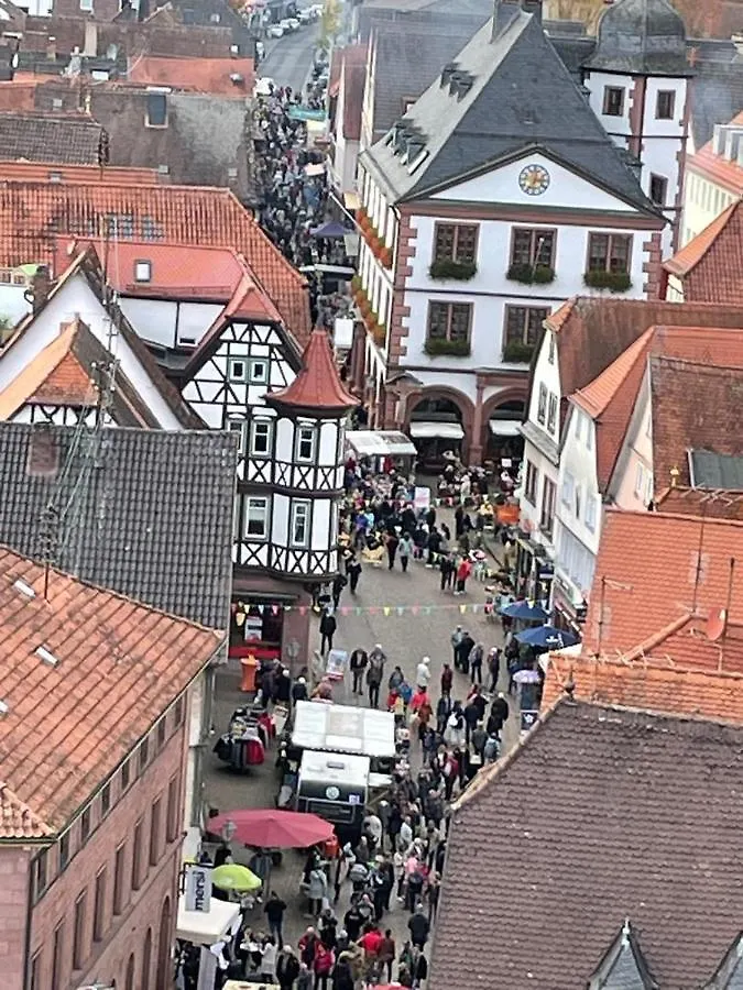 Ferienwohnung Im Springerhof Lohr 0*,