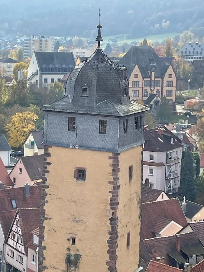Ferienwohnung Im Springerhof Lohr 公寓