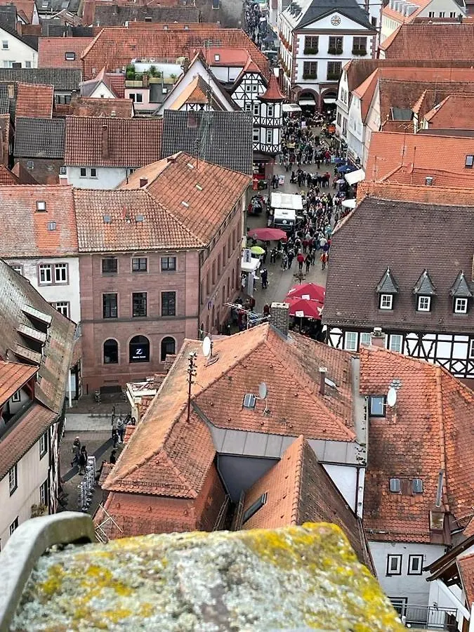 Ferienwohnung Im Springerhof Lohr