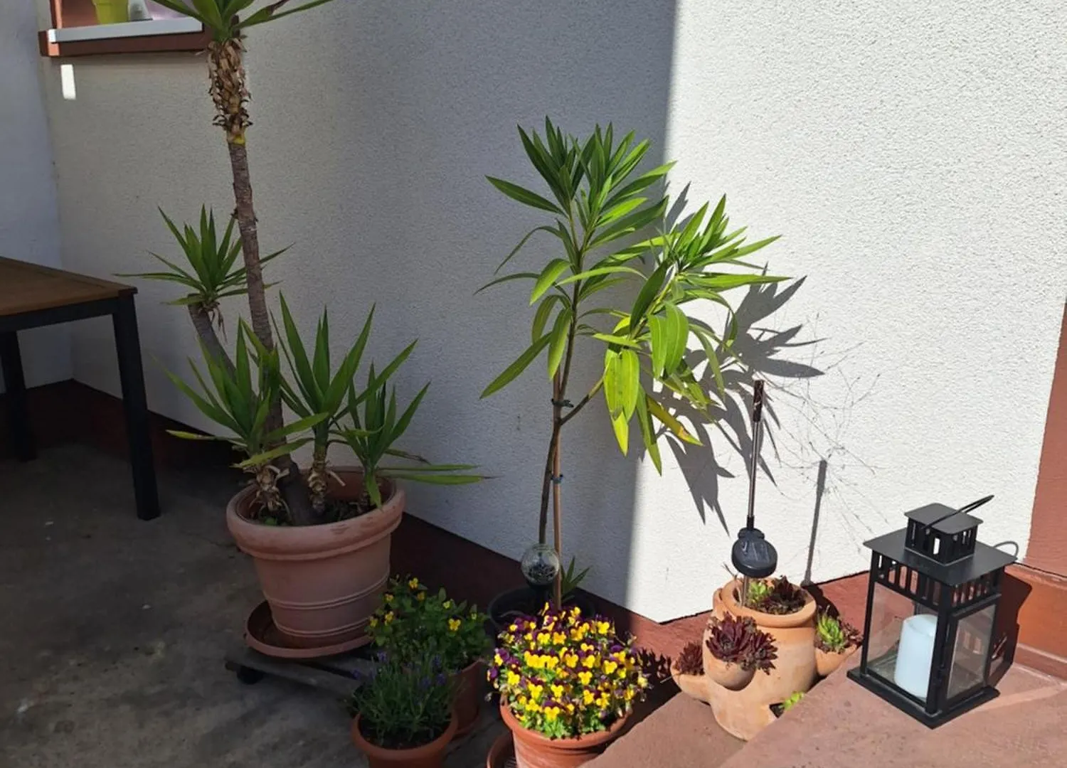 公寓 Ferienwohnung Im Springerhof Lohr
