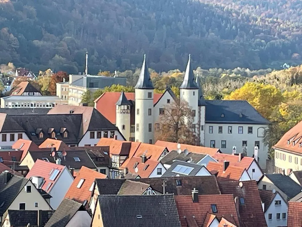 Ferienwohnung Im Springerhof Lohr am Main
